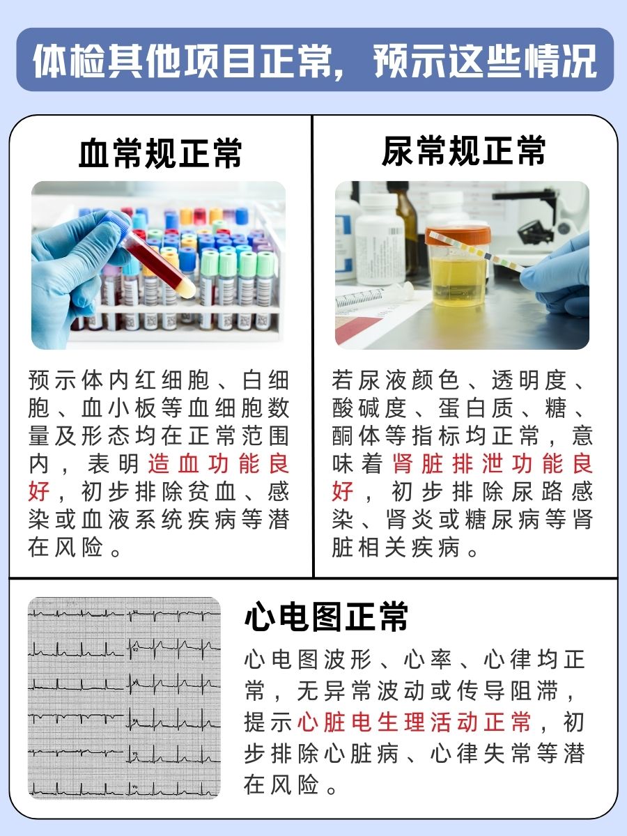 划重点!体检四项指标正常预示这些情况
