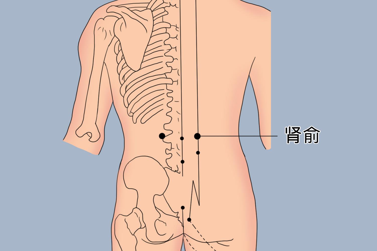 补肾肾俞穴位置图 补肾肾俞穴位置图