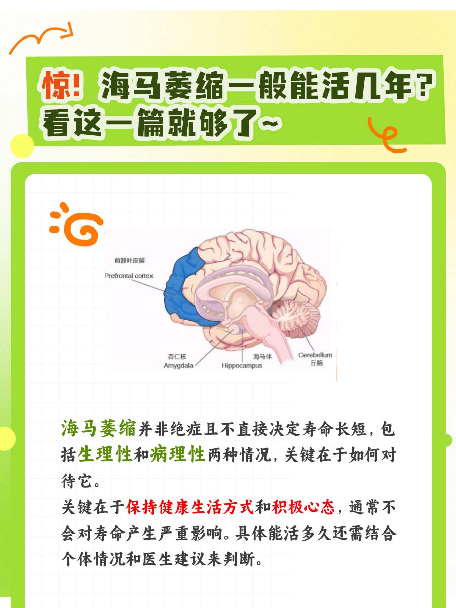 惊!海马萎缩一般能活几年?看这一篇就够了~