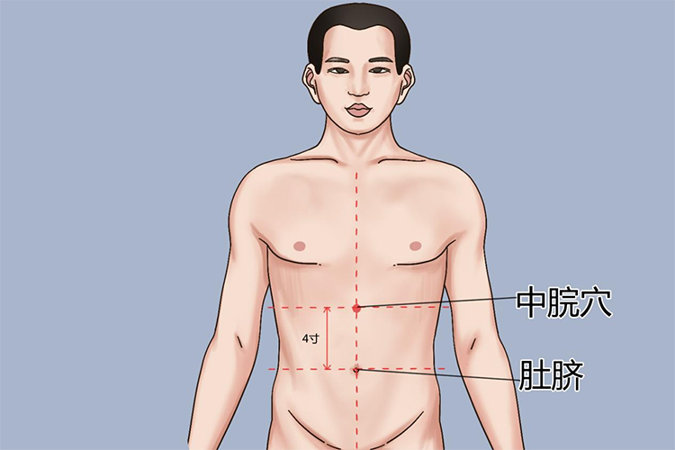 中脘穴位置图