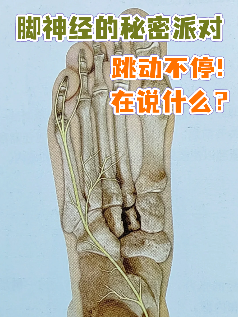 脚神经的秘密派对,跳动不停!在说什么?