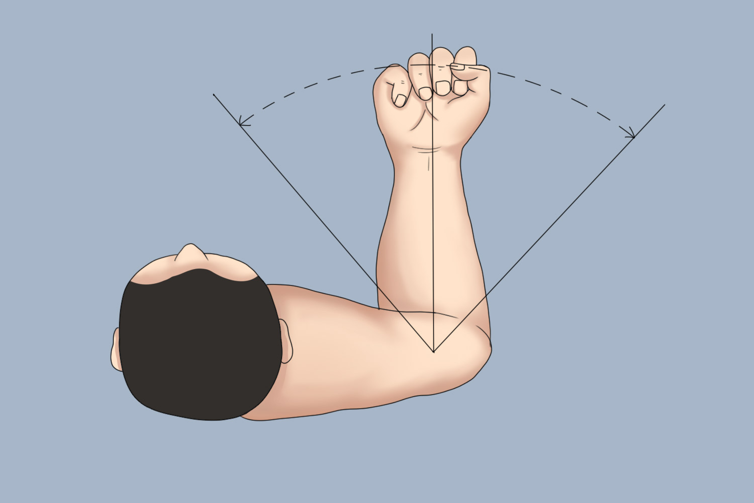 肩关节内外旋转图