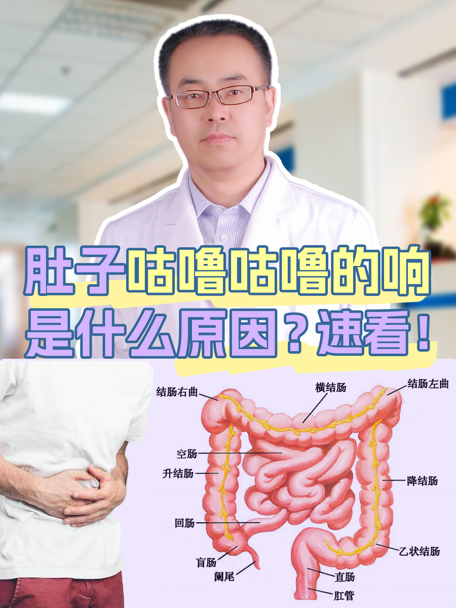 肚子咕噜咕噜的响是什么原因？速看！