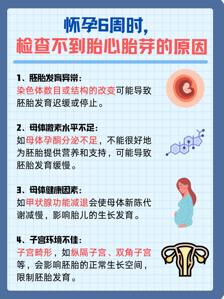 6周惊喜!胎心胎芽能否初见端倪?