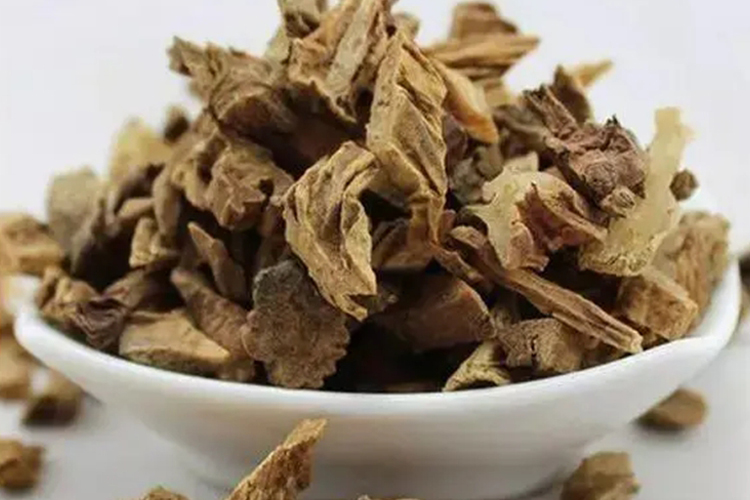 百部根药材图片_有来医生