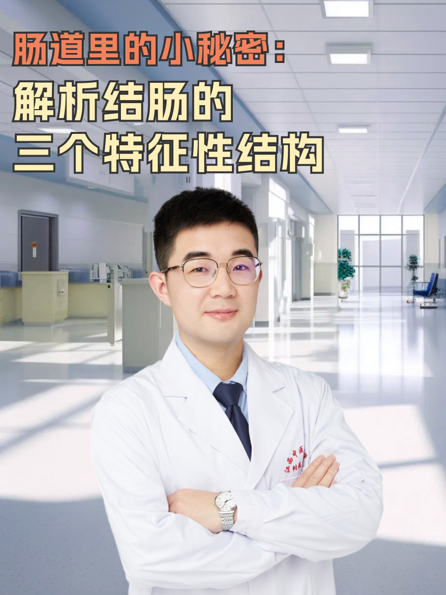 肠道里的小秘密：解析结肠的三个特征性结构