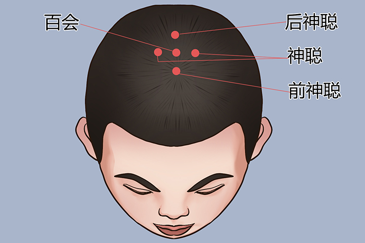 头部上面观穴位分布图