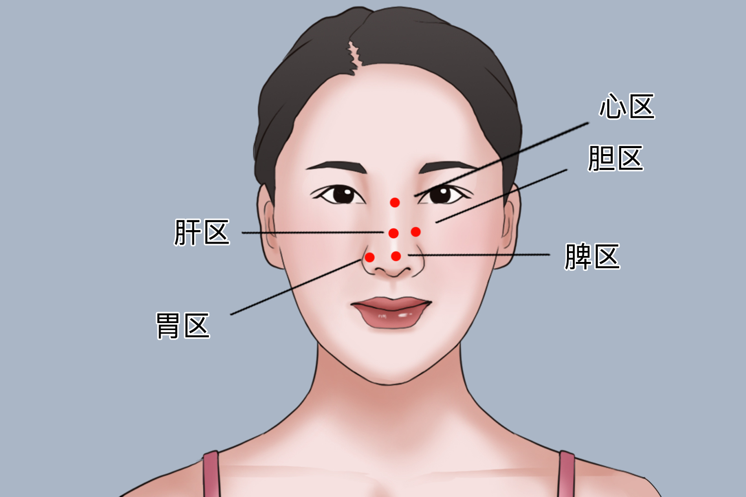 鼻子对应五脏图主治鼻子与五脏的对应部位也有一定的治疗疾病作用