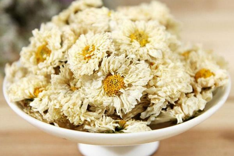 杭白菊药材图