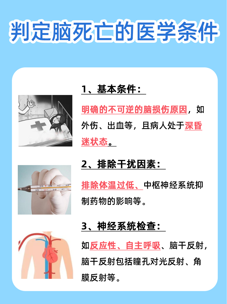 一文了解:脑死亡是什么意思?