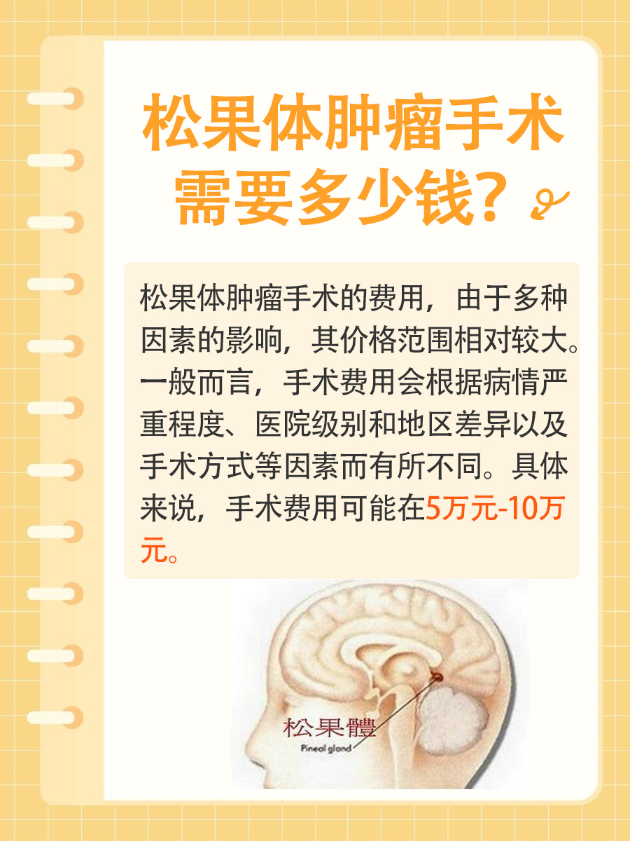 松果体肿瘤手术费用揭秘：全面了解手术经济负担