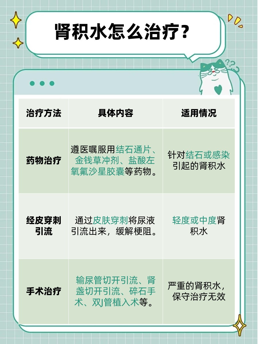 肾结晶会导致肾积水吗？一文解析