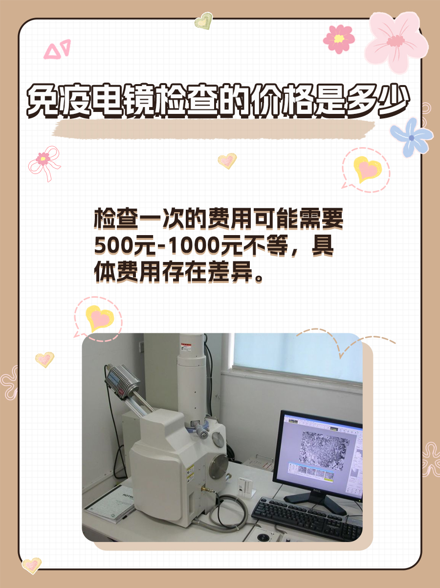 免疫电镜检查，价格的秘密