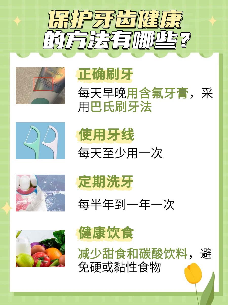 牙齿名称位置图
