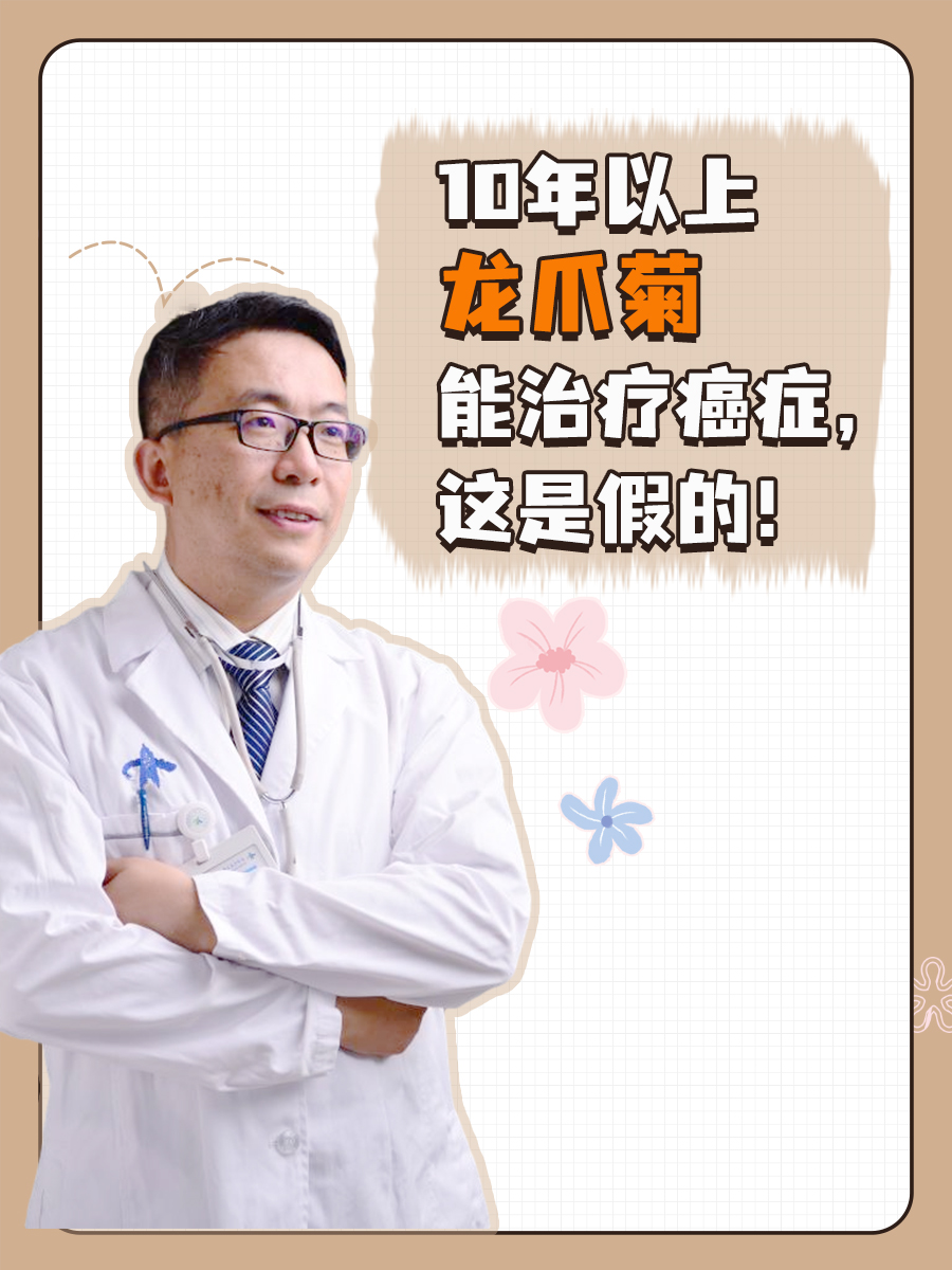 10年以上龙爪菊能治疗癌症，这是假的！