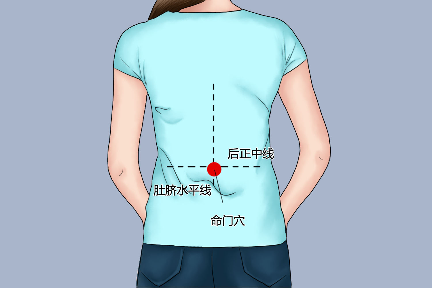 命门穴位置图