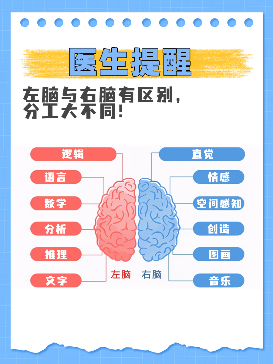 医生提醒|左脑与右脑有区别,分工大不同!