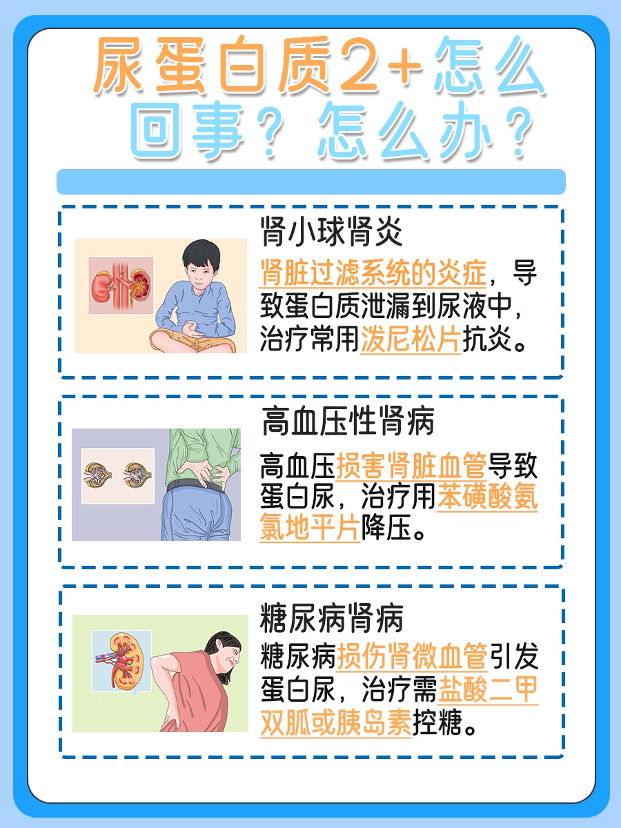 尿蛋白质2+，原因与应对策略揭秘