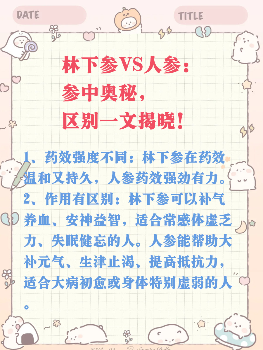 林下参VS人参：参中奥秘，区别一文揭晓！
