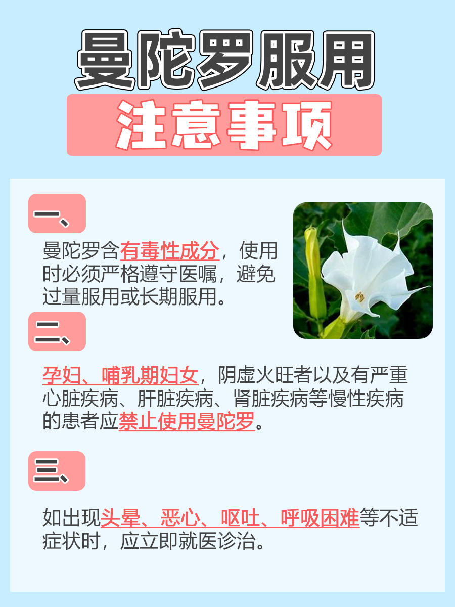 探索曼陀罗被误传的壮阳法