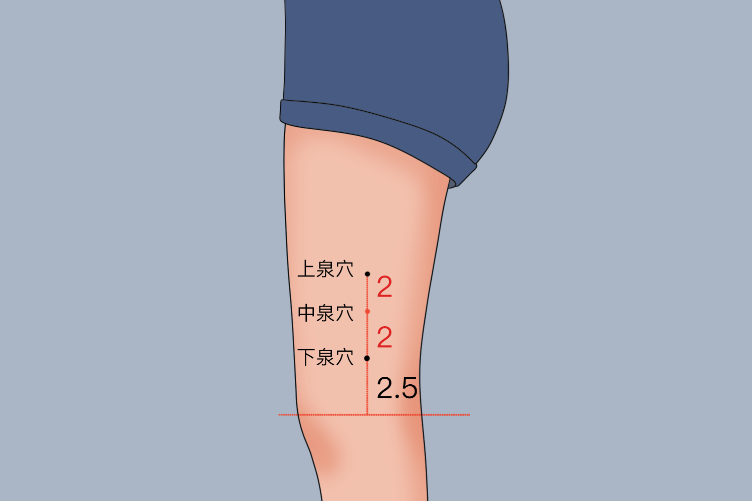 肘缝准确位置图和作用图片