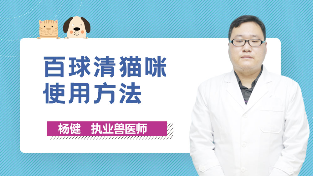 百球清猫咪使用方法_宠物科普视频-泰能宠