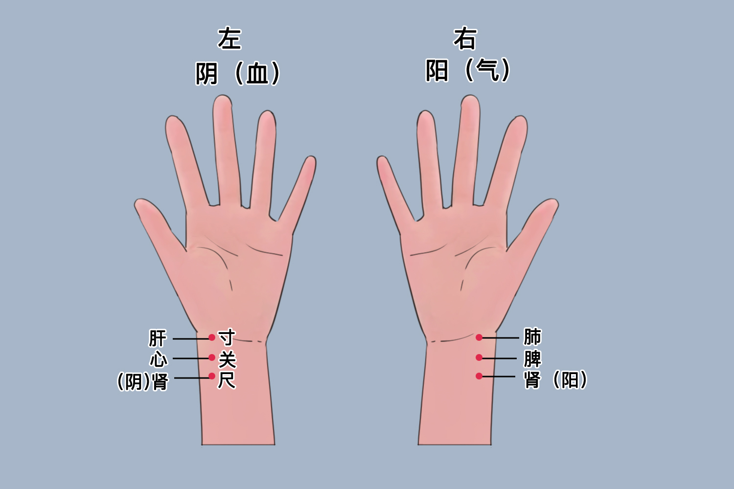 怀孕摸脉示意图图片