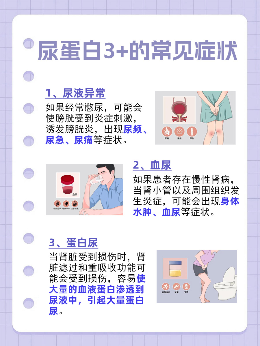 尿蛋白3+能否治愈?深度解析!