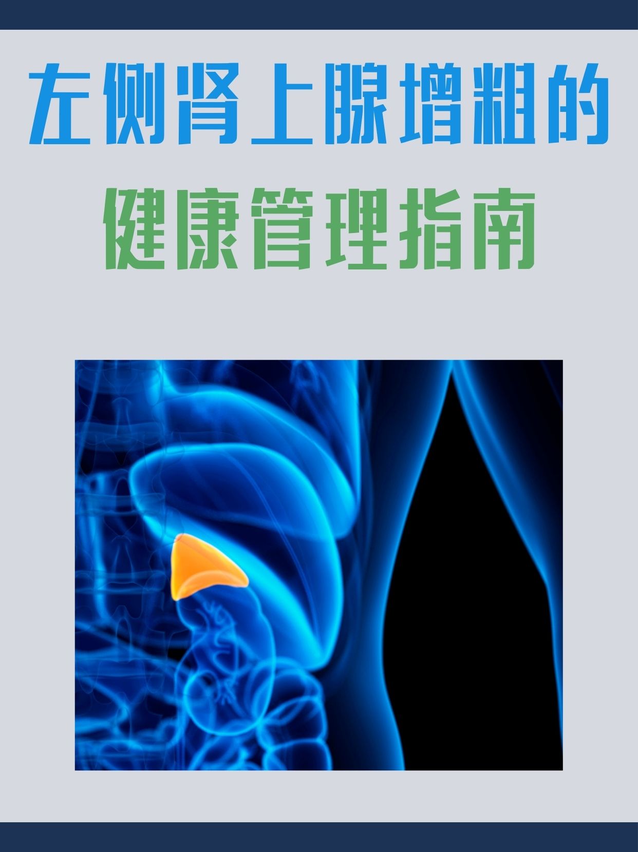 左侧肾上腺增粗的健康管理指南
