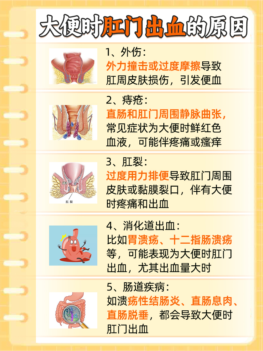 大便时"菊花"出血？医生揭秘可能的原因！