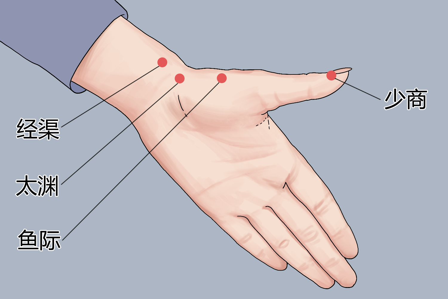 少商穴位置图