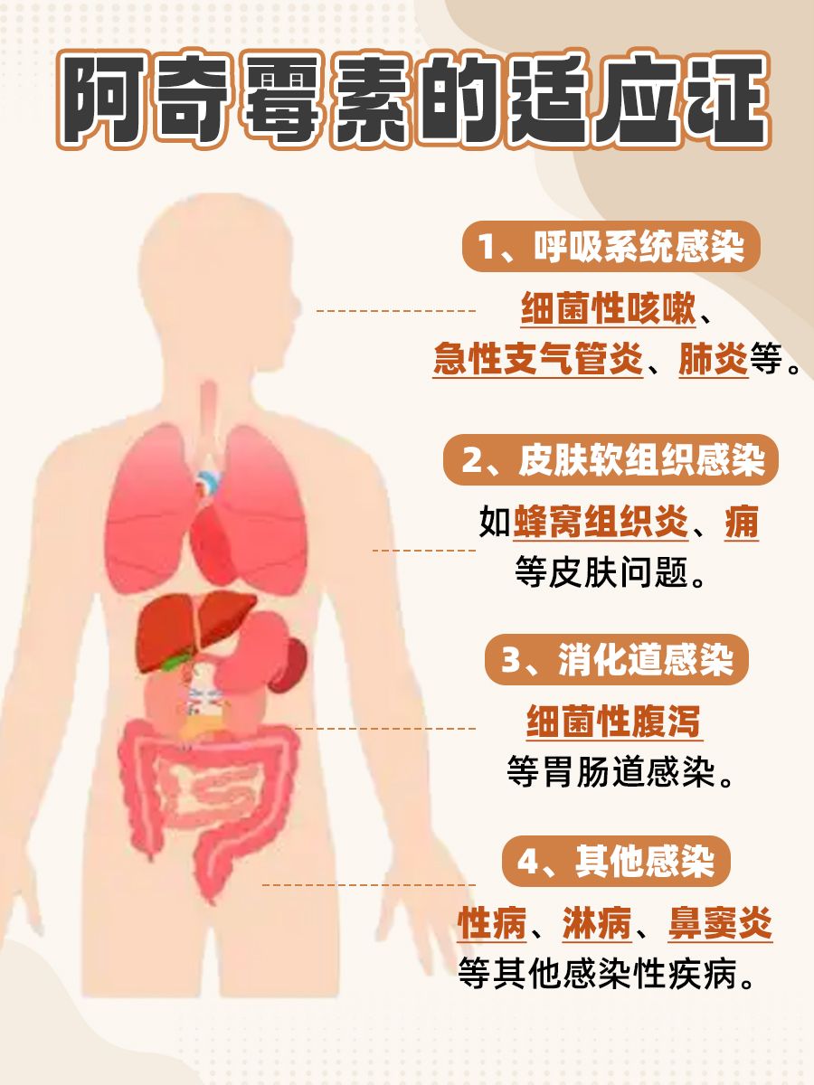 空腹挑战！阿奇霉素能否空腹服用？