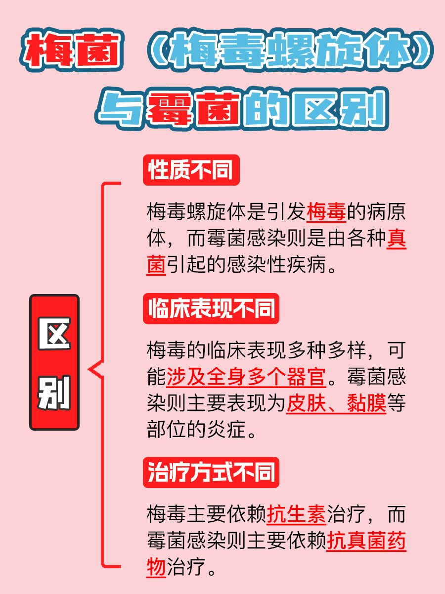 梅菌与霉菌大不同，别再傻傻分不清啦！