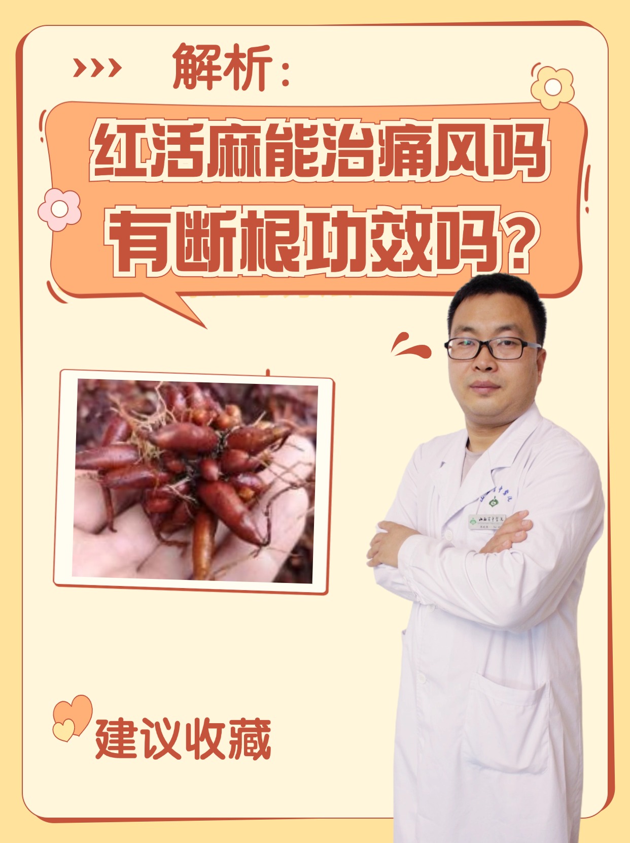 解析：红活麻能治痛风吗，有断根功效吗？