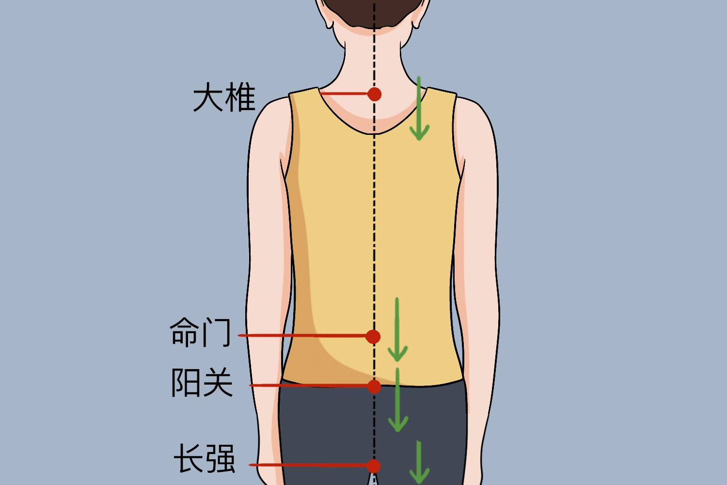 背部督脉刮痧图