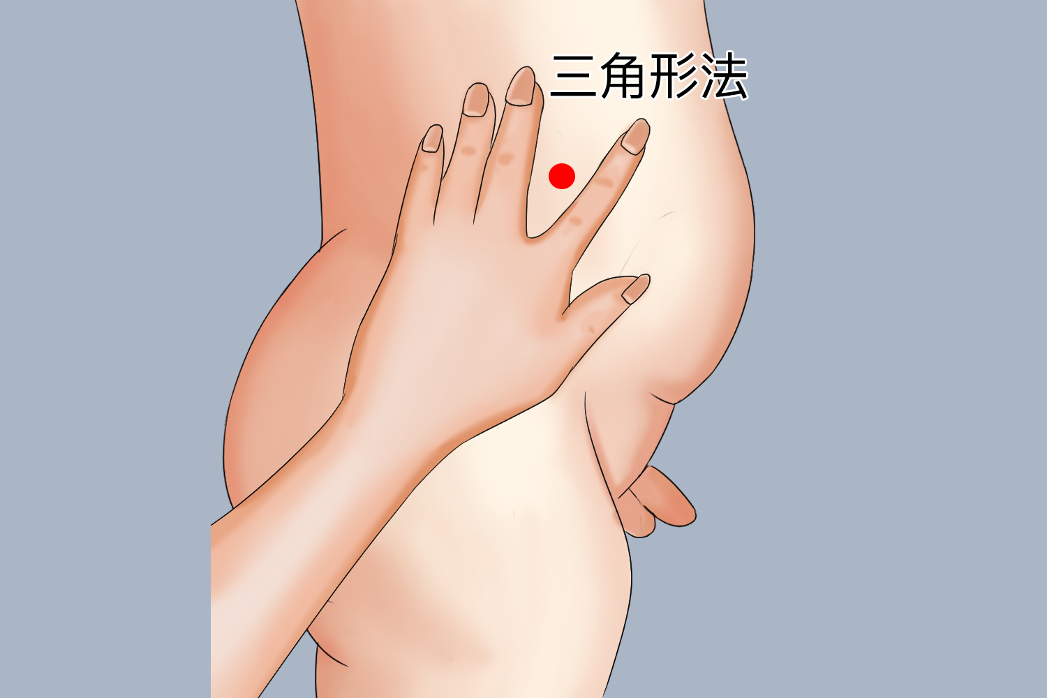 臀中肌、臀小肌肌肉注射定位图
