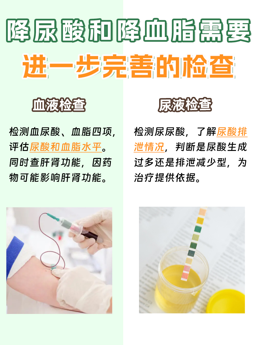 别错判！降尿酸和降血脂，该如何抉择先后？