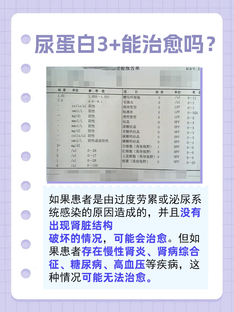 尿蛋白3+能否治愈?深度解析!