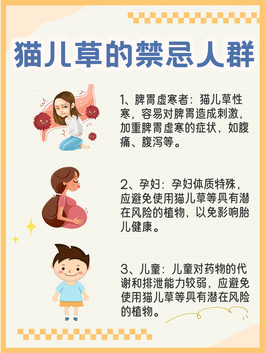 猫儿姜：神秘小草，止血生肌的秘密武器！