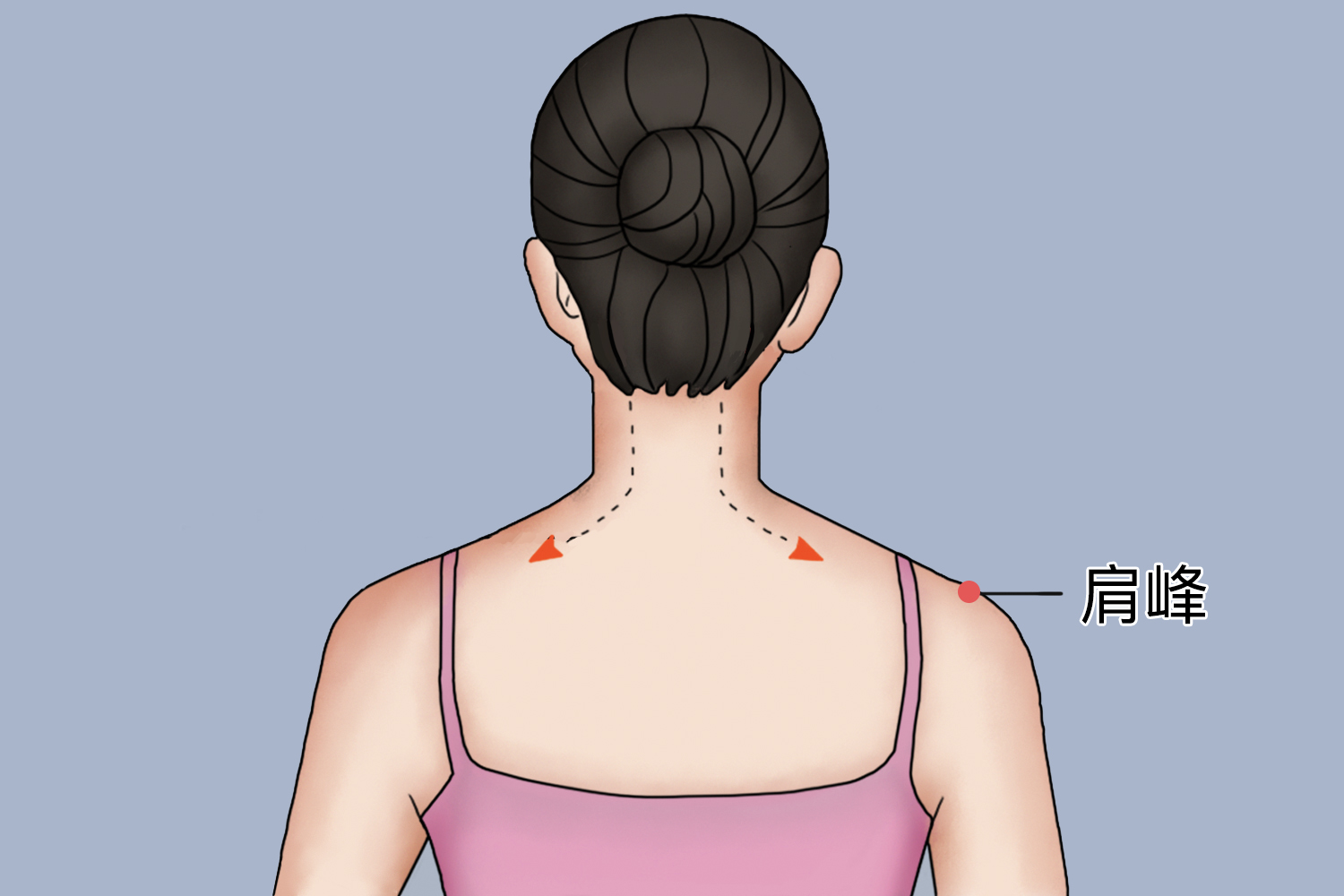 肩峰位置图
