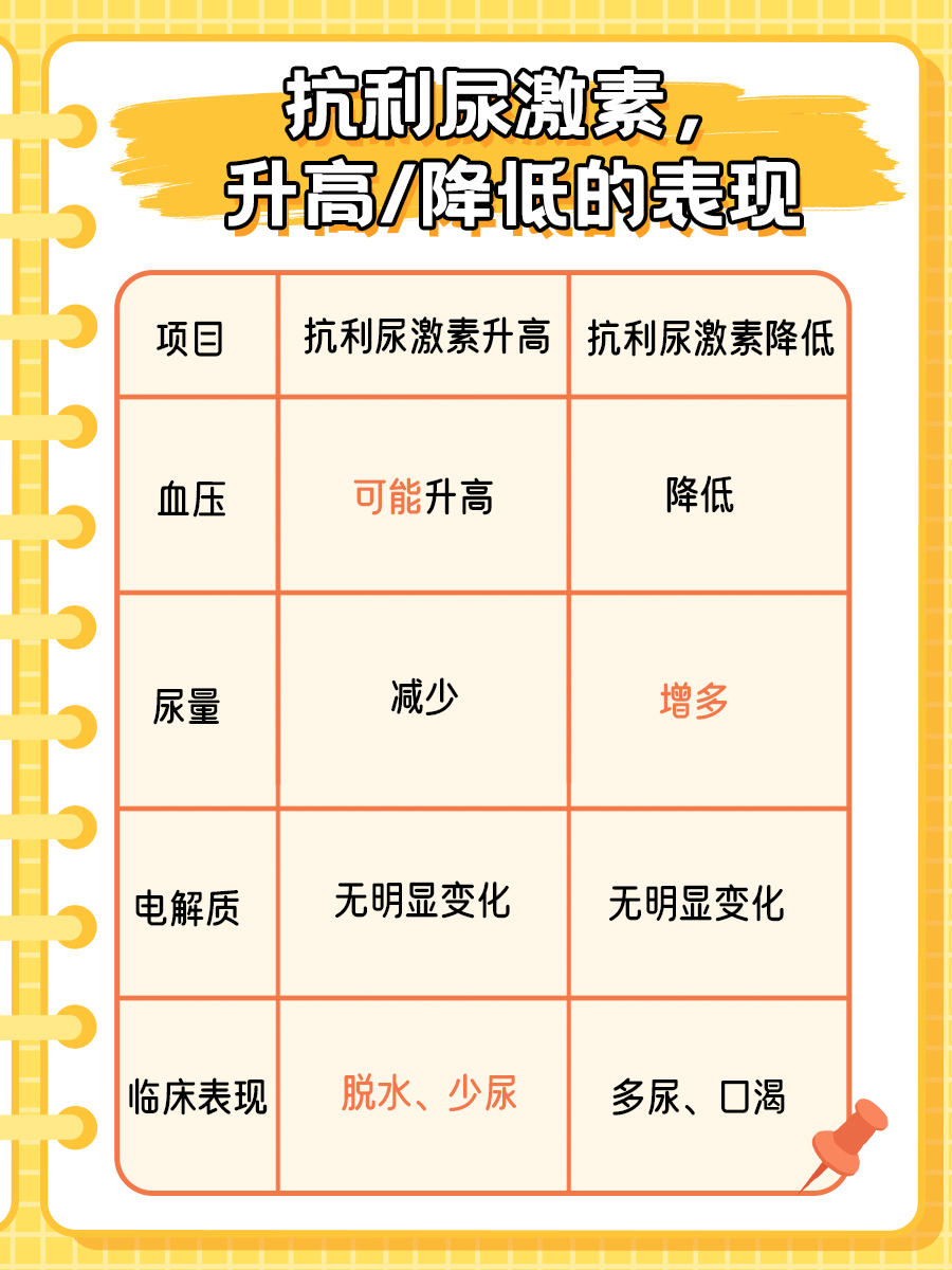 深入了解：醛固酮与抗利尿激素的区别