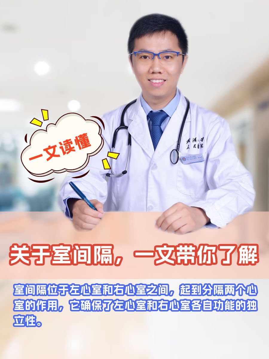 关于室间隔，一文带你了解