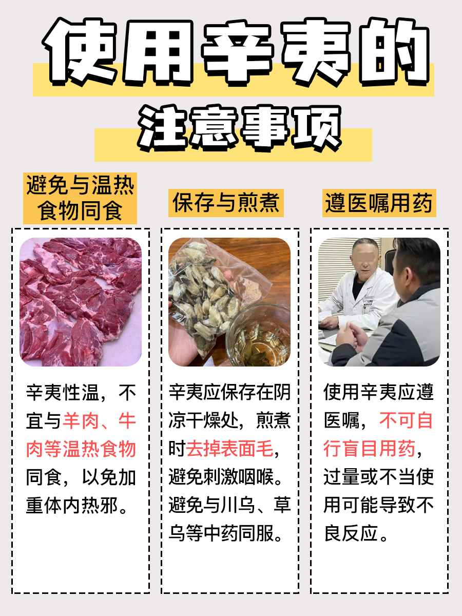 辛夷不只是花，更是你的健康小助手！功效详解！