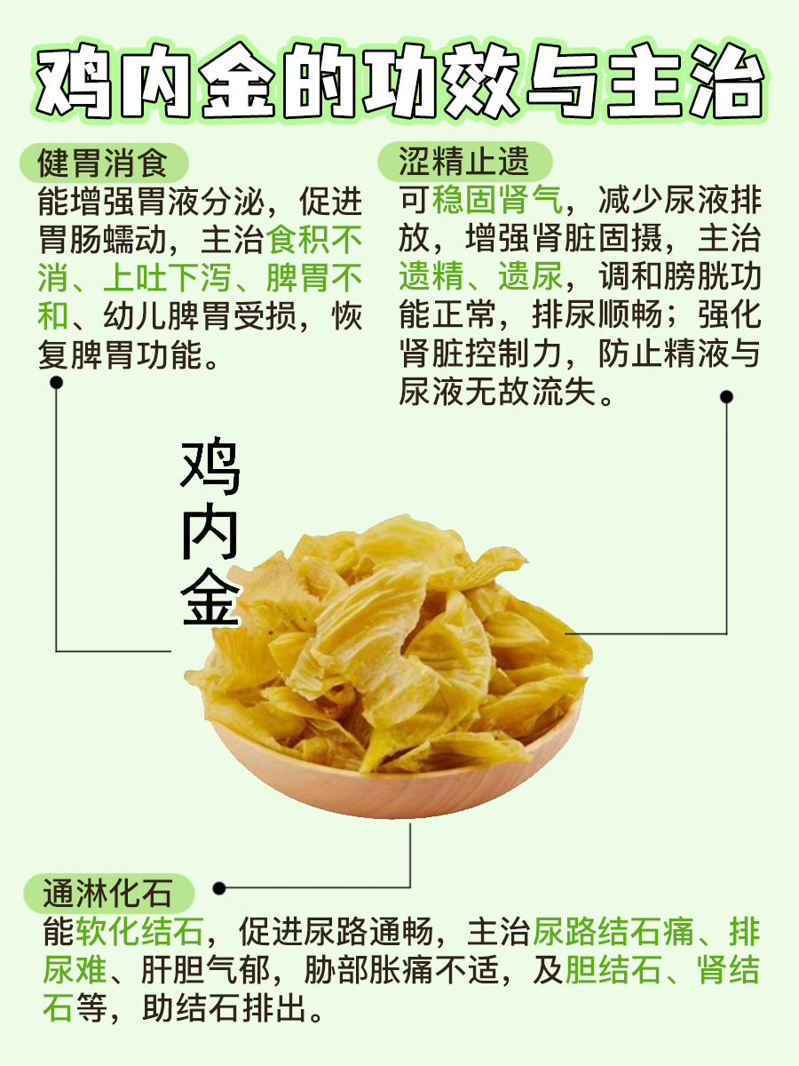 鸡内金是什么?一文带你全面了解这味中药