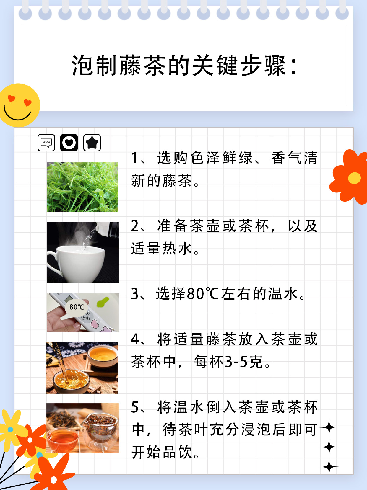 藤茶怎么泡？看这一篇就够了！