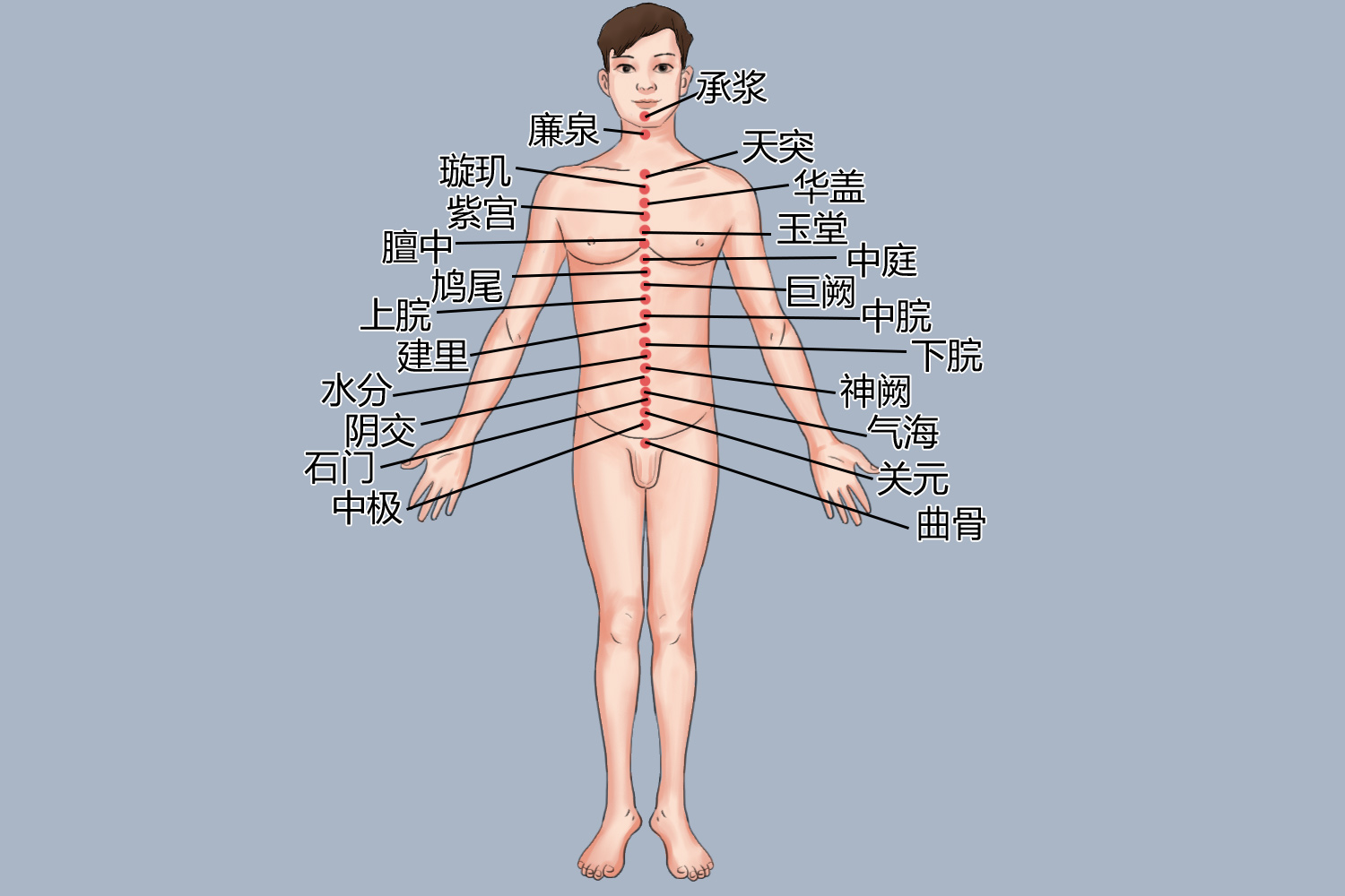 任脉腧穴位置图 任脉腧穴位置图