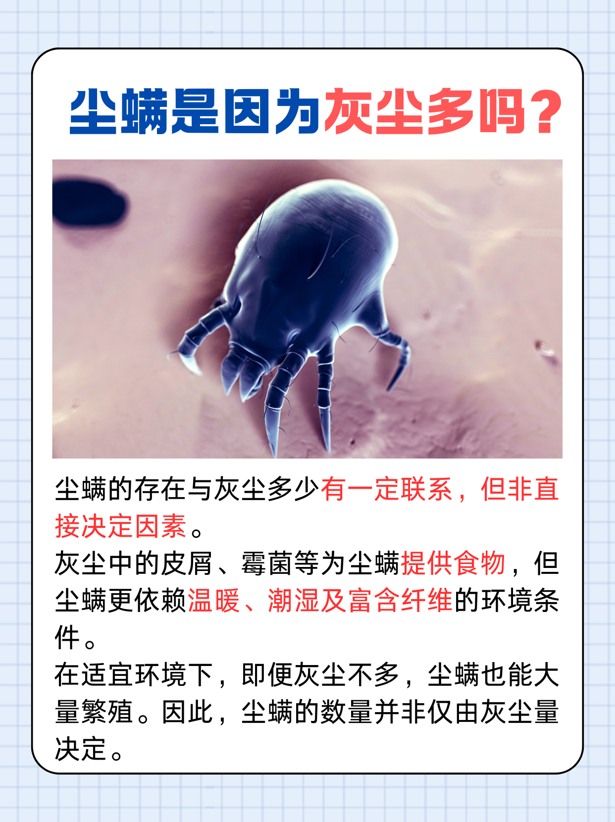 尘螨的真相：是因为灰尘多吗？