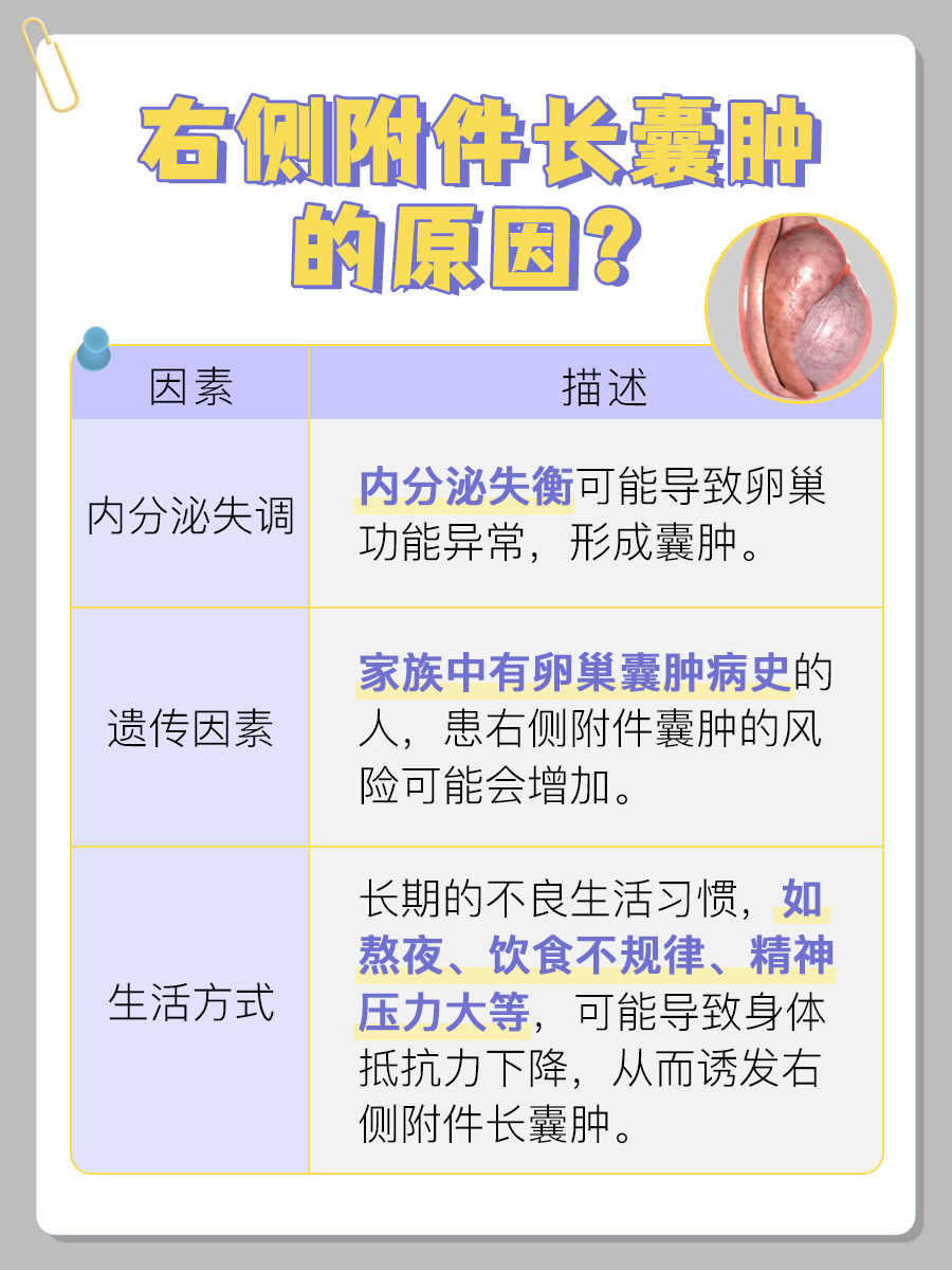 探究：右侧附件囊肿成因