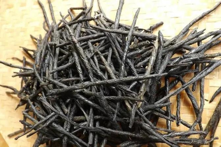 苦丁草药材图片