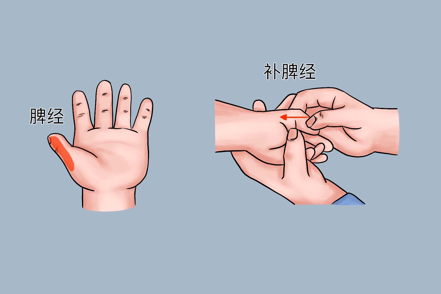 补脾经图 补脾经图